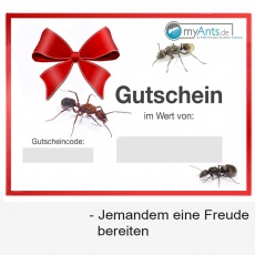 Gutscheine
