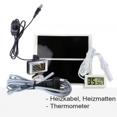 Klimaregelung