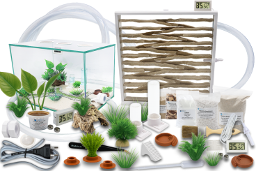 Ameisenkomplettset XXL-D Ameisenfarm S10 + Ameisen nach Wahl 