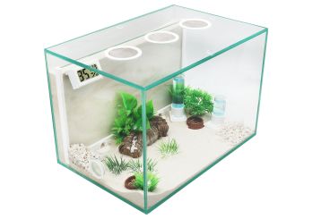 Ameisenkomplettset D + Interne Ameisenfarm G1 + Ameisen nach Wahl 