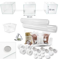 Blattschneider XXL Ameisenfarm Komplettset 