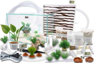 Ameisenkomplettset XXL-D Ameisenfarm S9 + Ameisen nach Wahl 