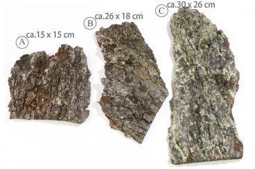 Baumrinden (A) ca. 15x15cm