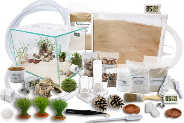 Ameisenkomplettset XXL-N Ameisenfarm S7 + Ameise nach Wahl 