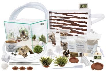 Ameisenkomplettset XXL-N Ameisenfarm S9 + Ameisen nach Wahl Messor orientalis Königin, 26-50 Arbeiterinnen