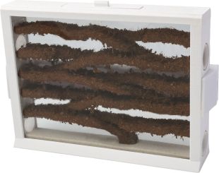 Ameisenfarm SKL für Innen- & Außenbereich + GängeTorfbeschichtet 