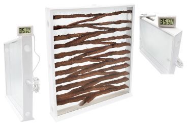 Ameisenfarm S9 mit speziellem Ameiseninlay 