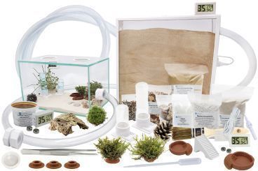 Ameisenkomplettset XL-N Ameisenfarm S7 + Ameisen nach Wahl 1x Set ohne Ameisen