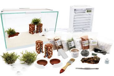 Ameisenfarm Komplettset XXL-S & Ameisenfarm H2 & ohne Ameisen 