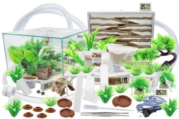 Ameisenfarm Komplettset 3XL & Ameisenfarm S10 & Ameisen nach Wahl Monomorium subopacum 3 Königinnen, 26-50 Arbeiterinnen