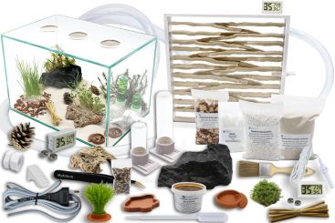 Ameisenkomplettset XXL-N2 Ameisenfarm S10 + Ameisen nach Wahl 