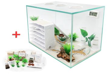 Ameisenkomplettset D + Interne Ameisenfarm P1 + Ameisen nach Wahl 