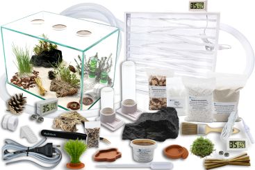 Ameisenkomplettset XXL-N2 Ameisenfarm S8 + Ameisen nach Wahl 