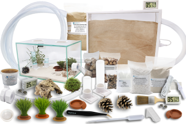 Ameisenkomplettset XL-N Ameisenfarm S7 + Ameisen nach Wahl 