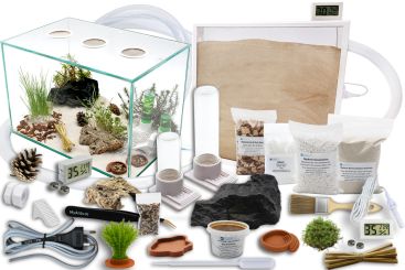 Ameisenkomplettset XXL-N2 Ameisenfarm S7 + Ameise nach Wahl 