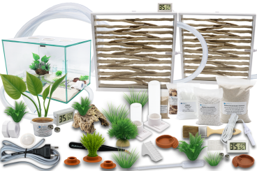 Ameisenkomplettset XXL-D Ameisenfarm S10 + Ameisen nach Wahl 