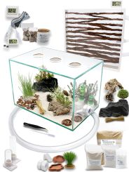 Ameisenkomplettset XXL-N2 Ameisenfarm S9 + Ameisen nach Wahl 