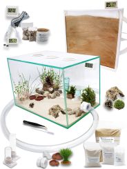 Ameisenkomplettset XL-N Ameisenfarm S7 + Ameisen nach Wahl 