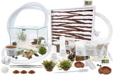 Ameisenkomplettset XL-N Ameisenfarm S9 + Ameisen nach Wahl 