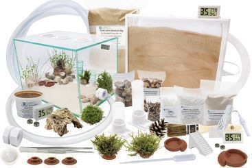 Ameisenkomplettset XXL-N Ameisenfarm S7 + Ameise nach Wahl 1x Set ohne Ameisen