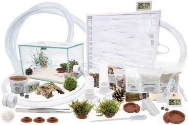 Ameisenkomplettset XL-N Ameisenfarm S8 + Ameisen nach Wahl 