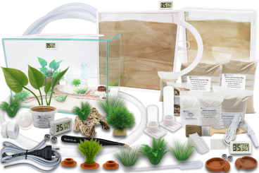 Ameisenkomplettset XXL-D 2x Ameisenfarm S7 + Ameise nach Wahl 