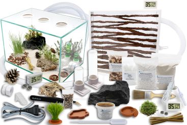 Ameisenkomplettset XXL-N2 Ameisenfarm S9 + Ameisen nach Wahl 