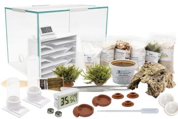 Ameisenkomplettset N + Interne Ameisenfarm P1 + Ameisen nach Wahl 