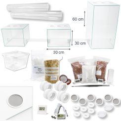 Blattschneider XXL Ameisenfarm Komplettset 