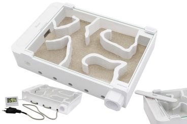 Ameisenfarm R2S mit Sand 