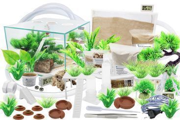 Ameisenfarm Komplettset 3XL & Ameisenfarm S7 & Ameisen nach Wahl 