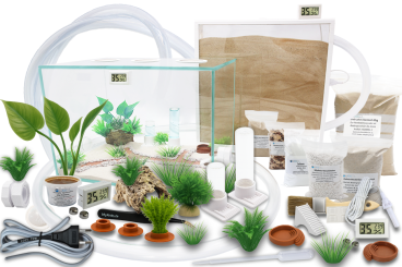 Ameisenkomplettset XXL-D Ameisenfarm S7 + Ameise nach Wahl 