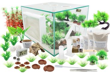 Ameisenkomplettset 3XL D+ SKL Interne Ameisenfarm + Ameisen 