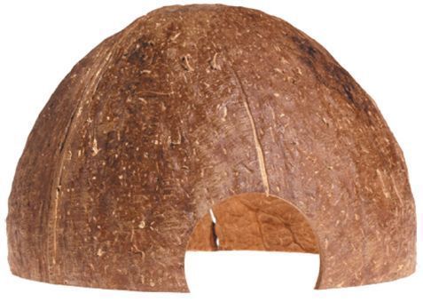 Kokosnusshöhle - Big 
