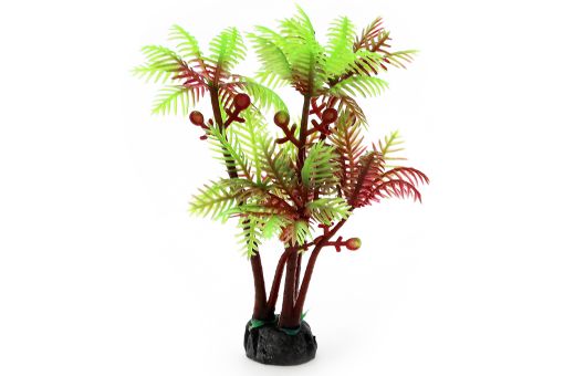 Palme Sahara 