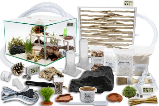 Ameisenfarm Komplettset 3XL - N2 & Ameisenfarm S10 Messor barbarus Königin, 11-25 Arbeiterinnen