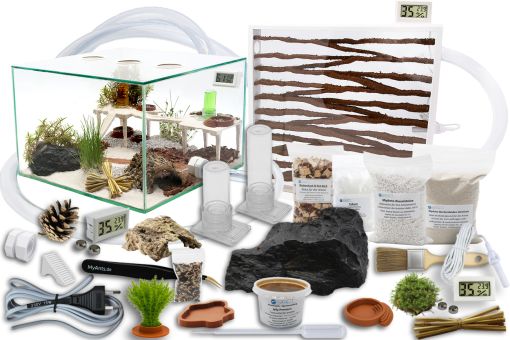 Ameisenfarm Komplettset 3XL - N2 & Ameisenfarm S9 Messor barbarus Königin, 11-25 Arbeiterinnen