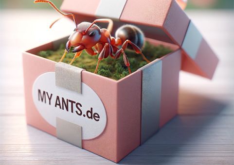Gutschein Test 20 Euro 